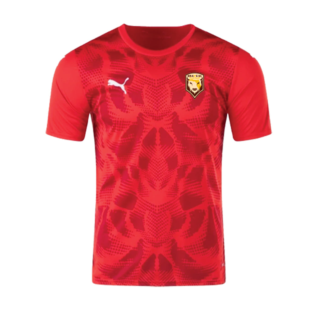 Puma - Team Ultimate Jersey 25 - Red