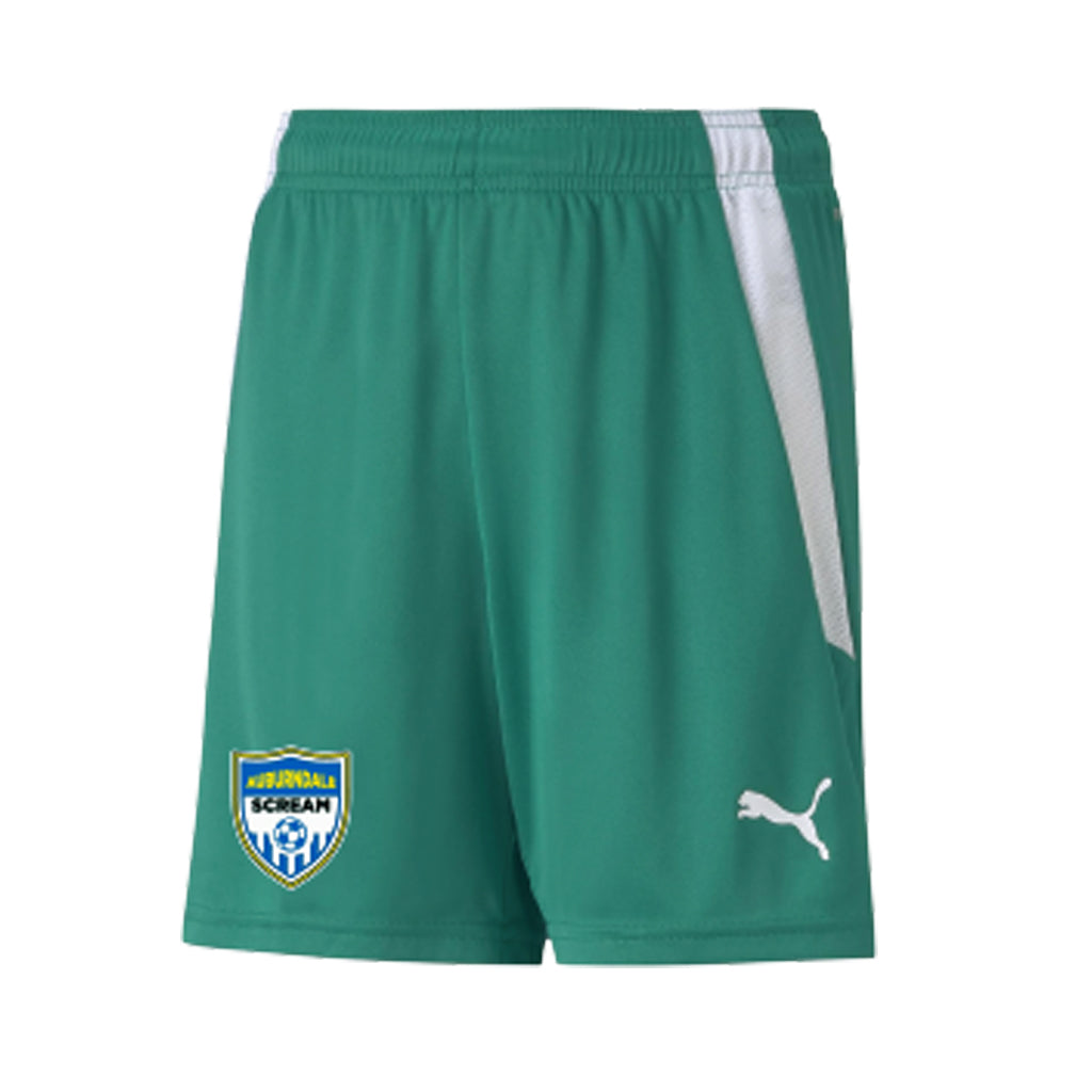 Puma - Team Liga 25 Shorts - Green