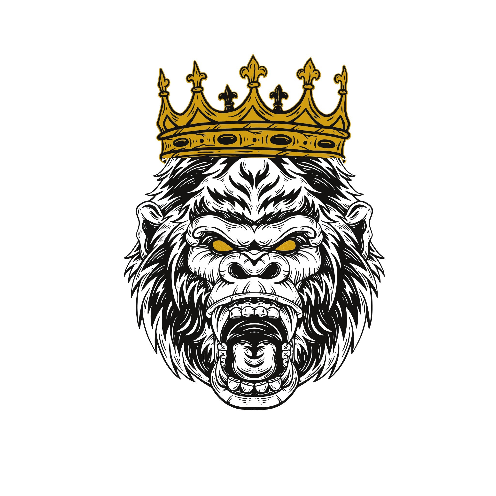 High Soccer Academy - Beast Elite - Field