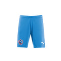 Puma - Team Rise Shorts - Light Blue