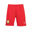 Puma - Team Rise Shorts - Red