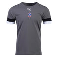 Puma - Team Rise Jersey - Grey