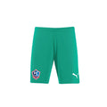 Puma - Team Rise Shorts - Green