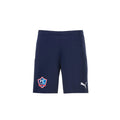 Puma - TeamGoal Shorts - Navy