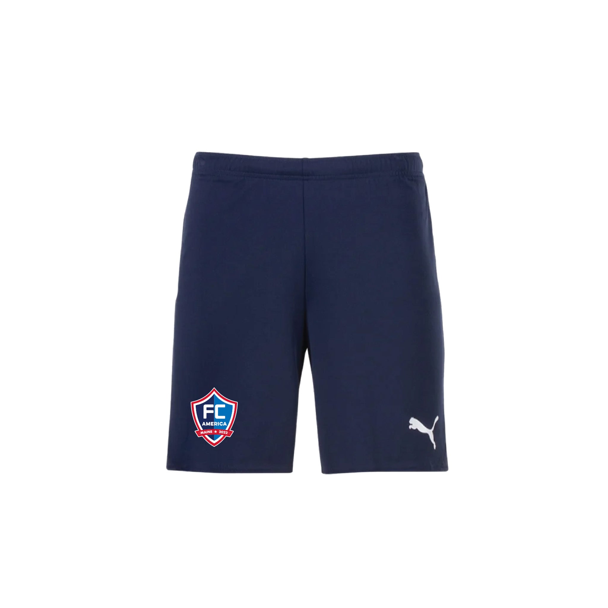 Puma - TeamGoal Shorts - Navy