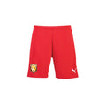 Puma - Team Rise Shorts - Red