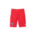 Puma - TeamGoal Shorts - Red