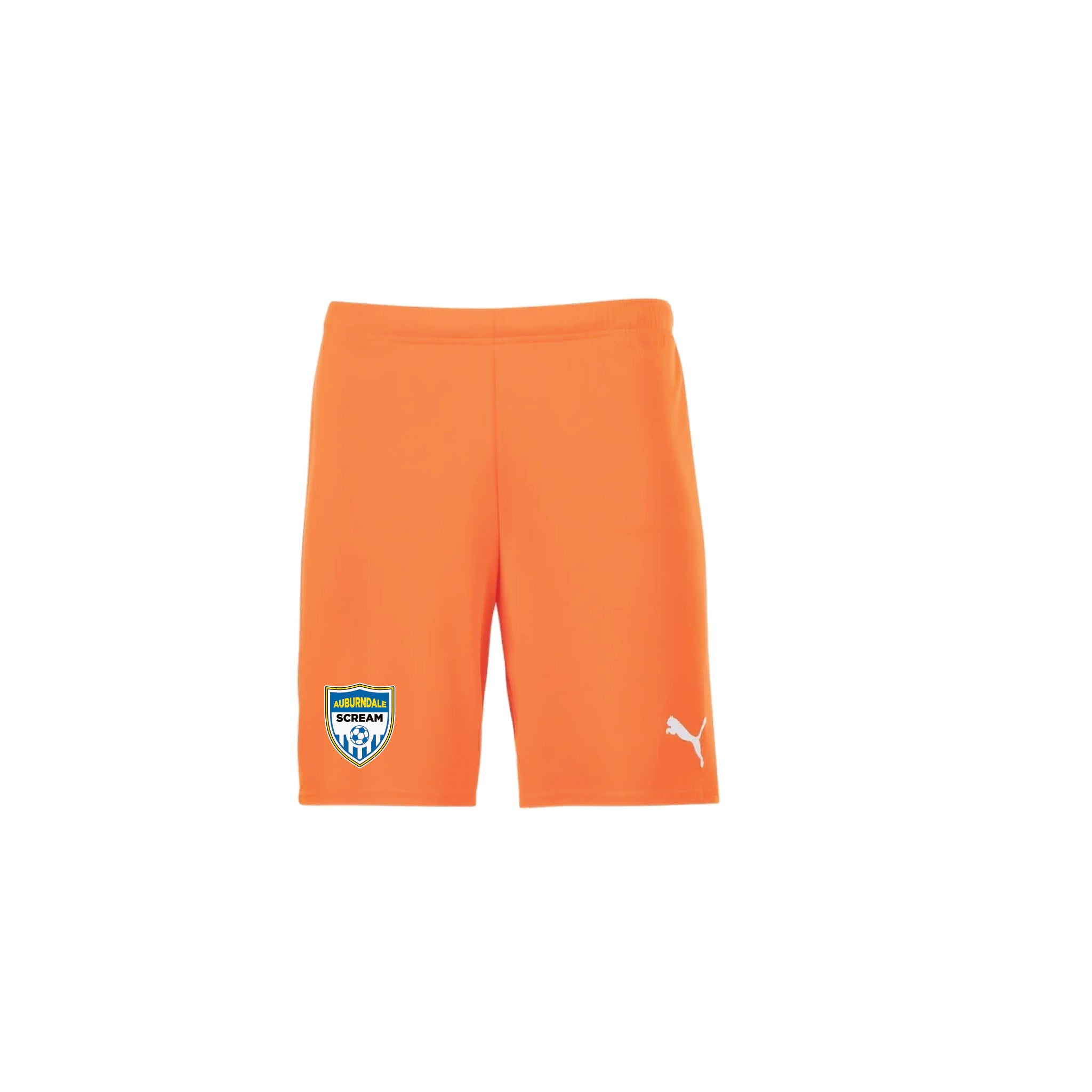 Puma - TeamGoal Shorts - Orange