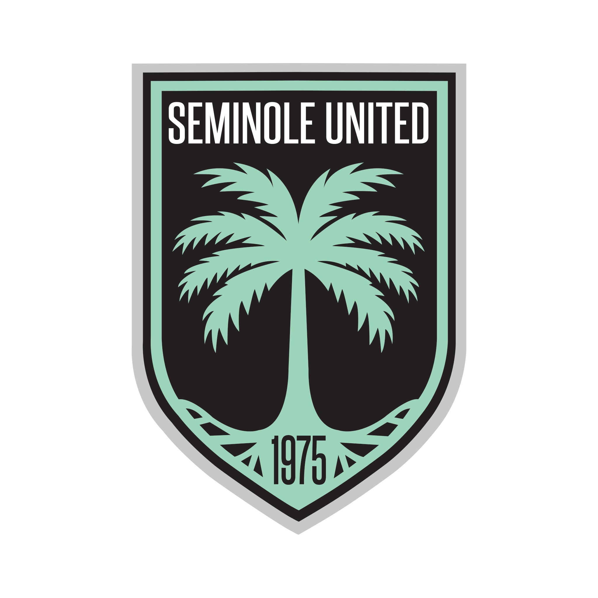 Seminole Sleeve Patches