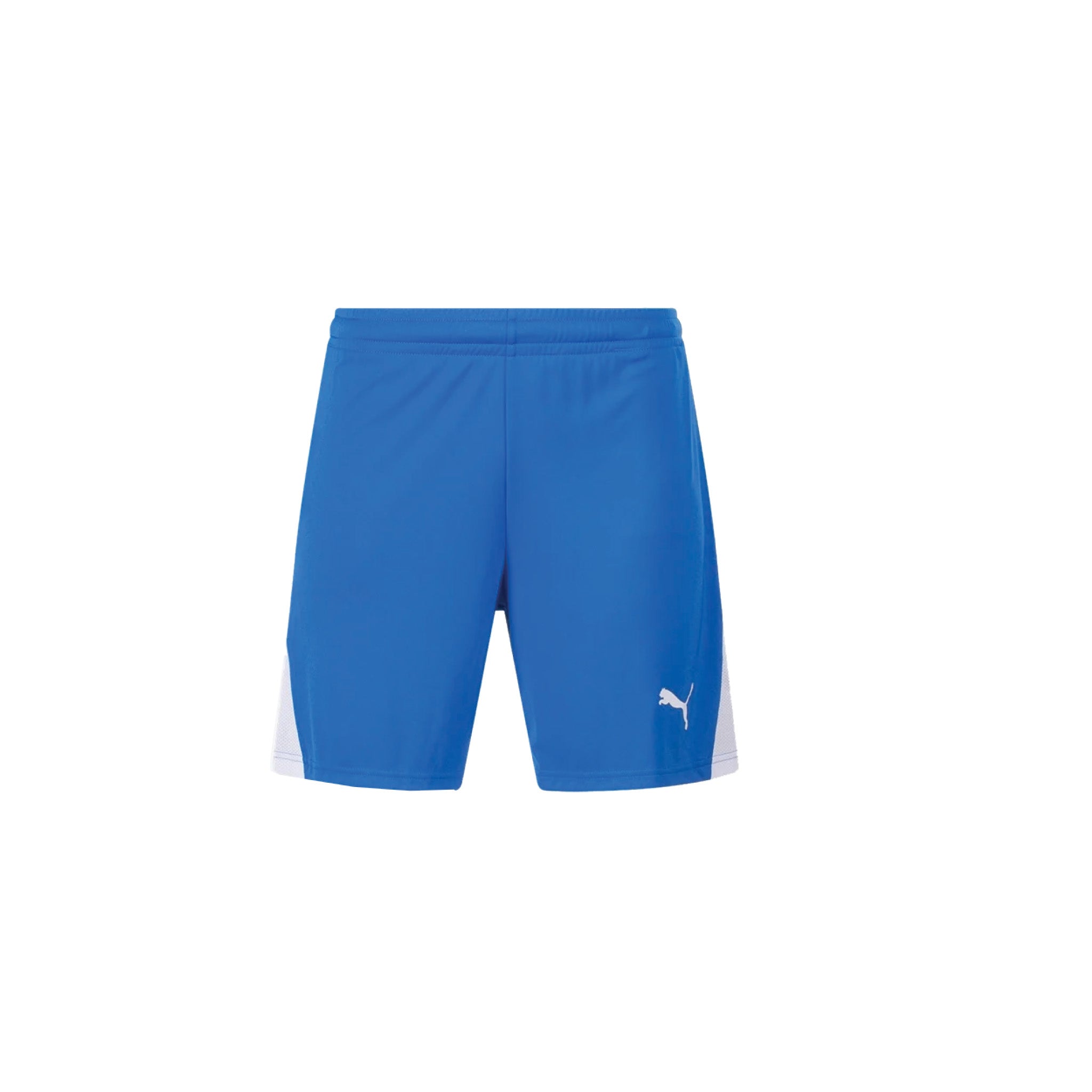 Puma - TeamLiga 26 Short - Royal Blue