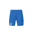 Puma - TeamLiga 26 Short - Royal Blue - With Logo