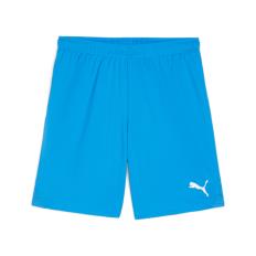 Puma - Team Goal Shorts - Royal Blue