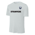 Training Jersey - Grey