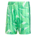 Adidas - Tiro 26 Goalkeeper Short - Green