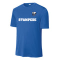 Training Jersey - Royal Blue